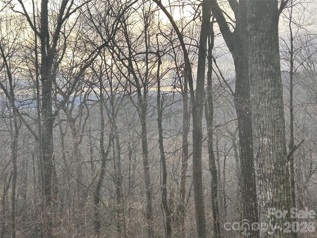 0 Pine Ridge Road 21, Hendersonville, NC 28792