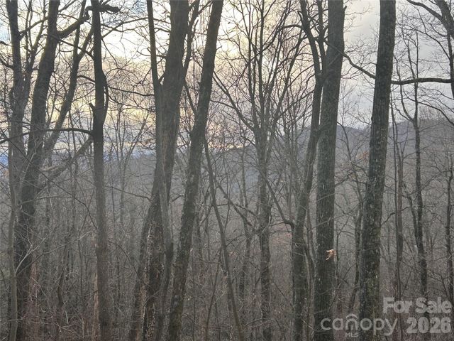 0 Pine Ridge Road 21, Hendersonville, NC 28792