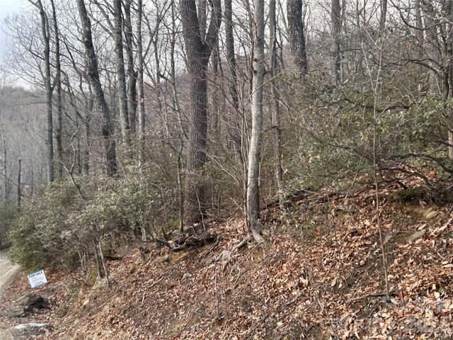 0 Pine Ridge Road 21, Hendersonville, NC 28792