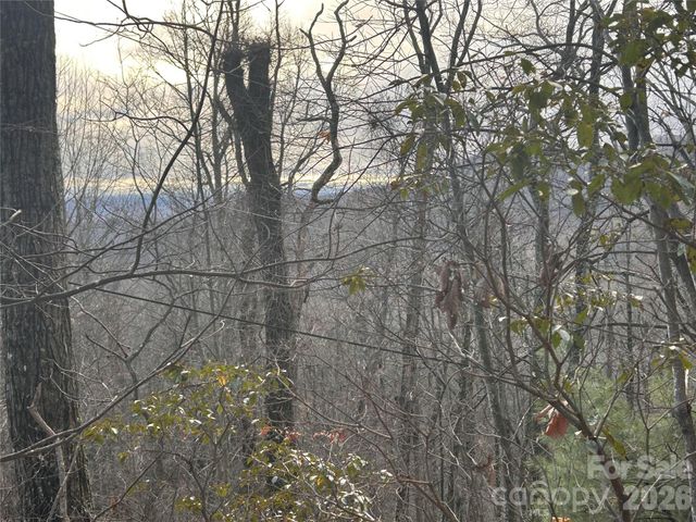 0 Pine Ridge Road 21, Hendersonville, NC 28792