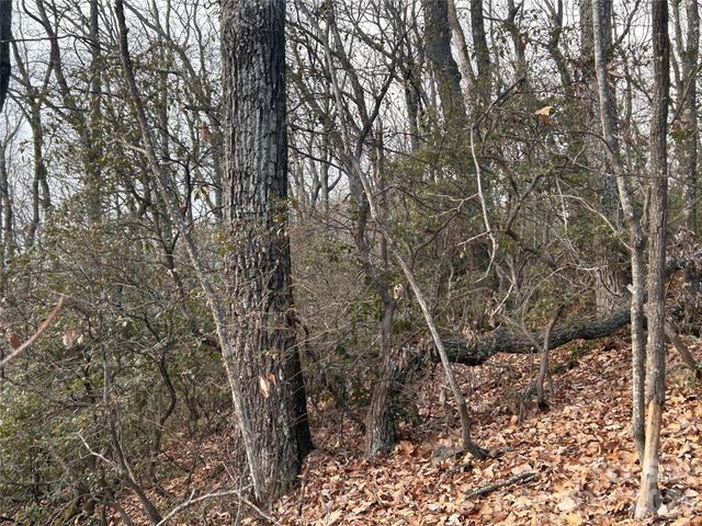 0 Pine Ridge Road 21, Hendersonville, NC 28792