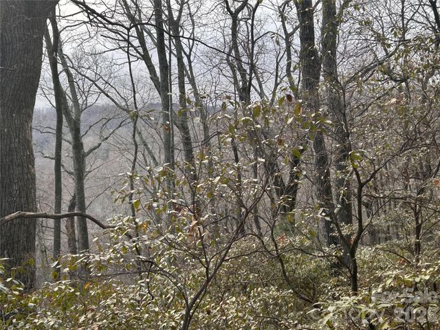 0 Pine Ridge Road 21, Hendersonville, NC 28792