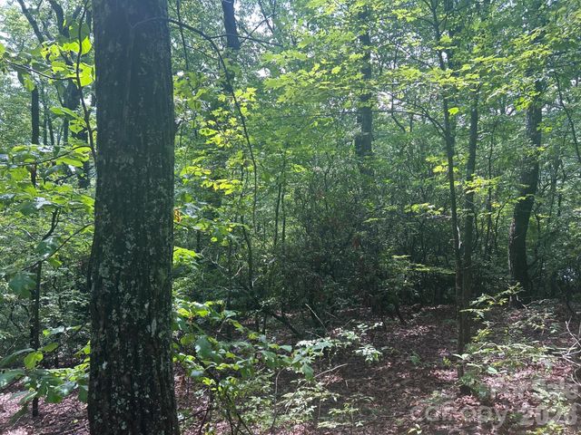 0 Pine Ridge Road 21, Hendersonville, NC 28792