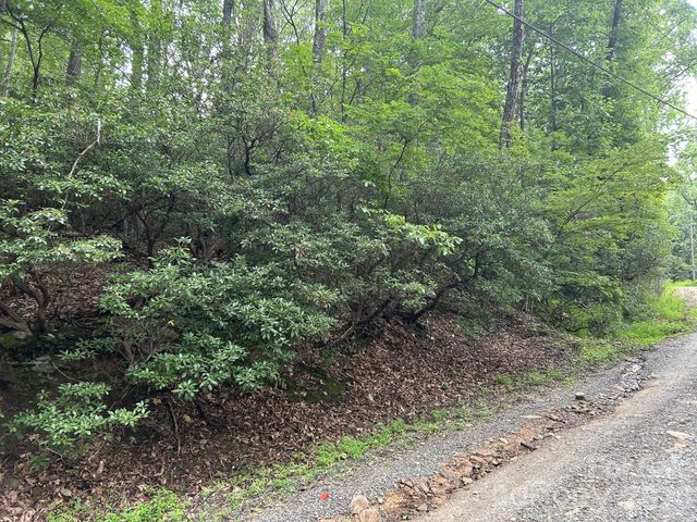 0 Pine Ridge Road 21, Hendersonville, NC 28792