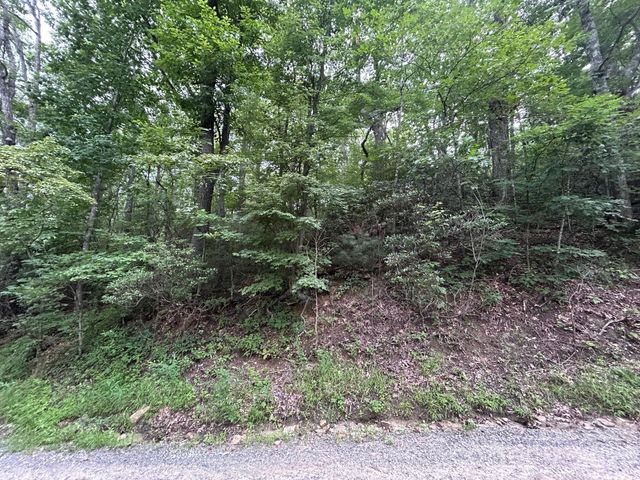 0 Pine Ridge Road 21, Hendersonville, NC 28792