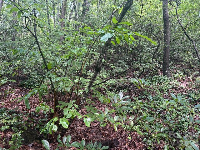 0 Pine Ridge Road 21, Hendersonville, NC 28792