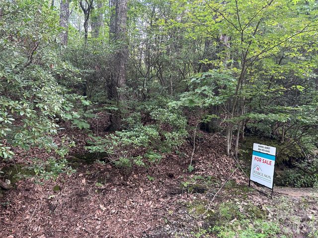 0 Pine Ridge Road 21, Hendersonville, NC 28792