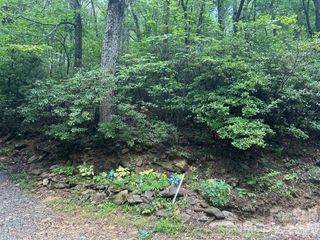 0 Pine Ridge Road 21, Hendersonville, NC 28792