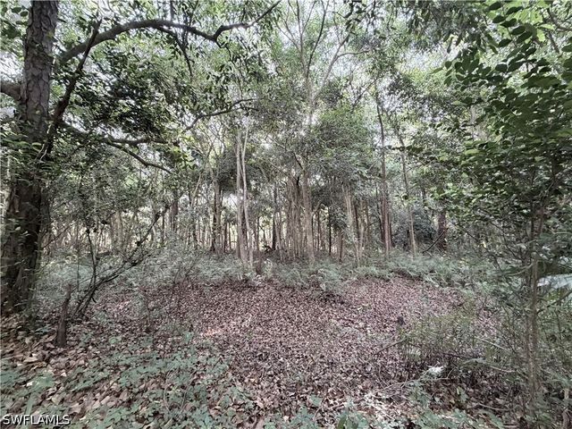 Lager Lane, Naples, FL 34114