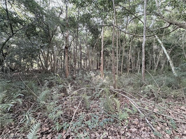 Lager Lane, Naples, FL 34114