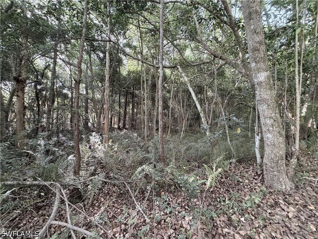 Lager Lane, Naples, FL 34114