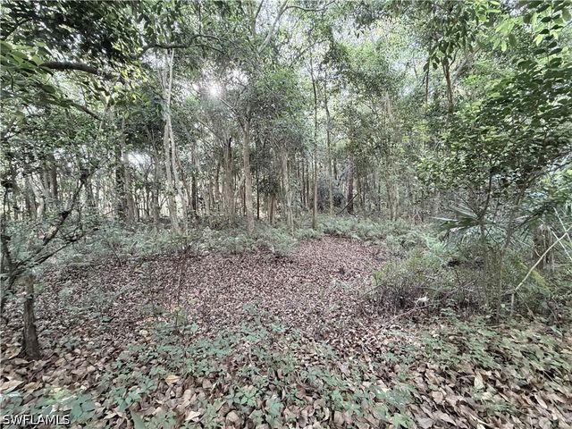 Lager Lane, Naples, FL 34114