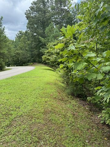 LOT 5 Harris Creek Drive, Ellijay, GA 30540