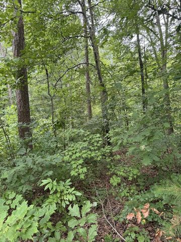LOT 5 Harris Creek Drive, Ellijay, GA 30540