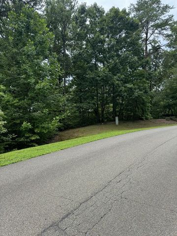 LOT 5 Harris Creek Drive, Ellijay, GA 30540