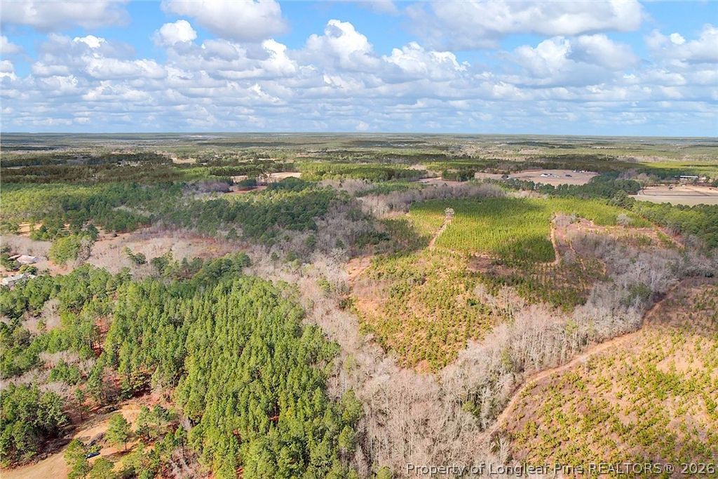 TBD Montrose (Lot 8) Road, Raeford, NC 28376 — photo 2