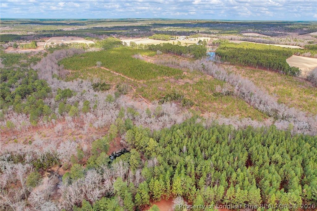 TBD Montrose (Lot 8) Road, Raeford, NC 28376 — photo 3