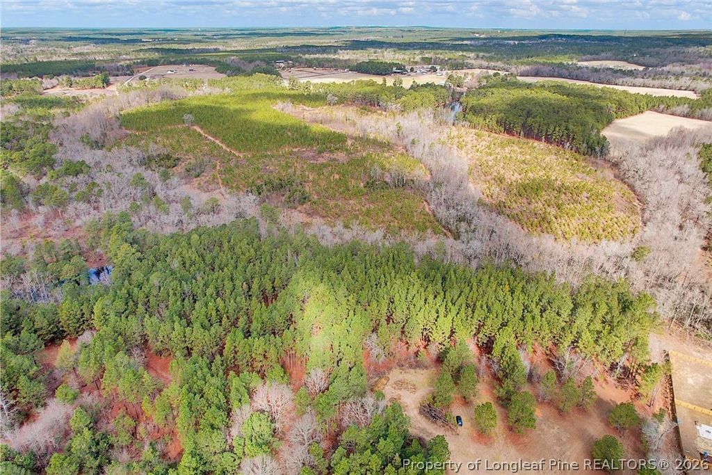 TBD Montrose (Lot 8) Road, Raeford, NC 28376 — photo 4