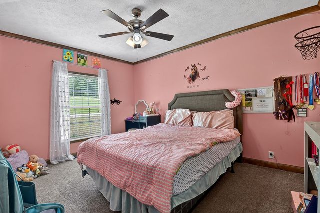 7 Antioch Hill, Blairsville, GA 30512