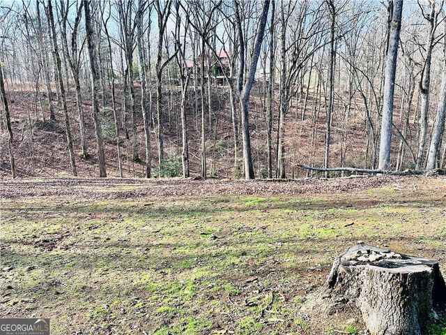 6134 Grant Ford Road, Gainesville, GA 30506