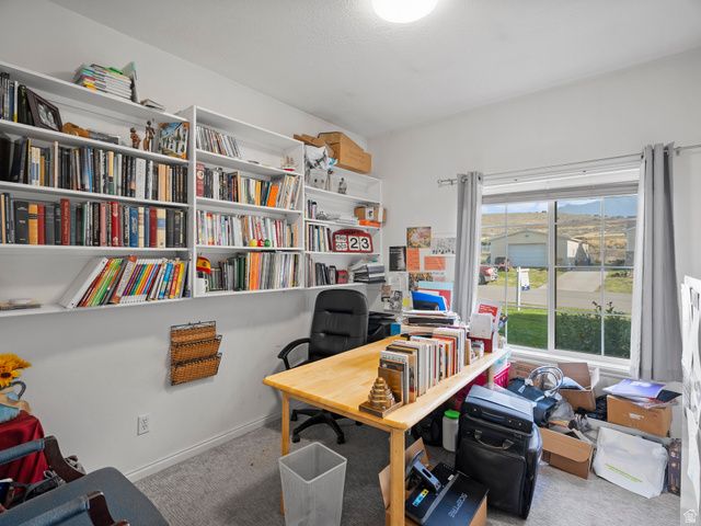 1010 S ANNA EKINS MEMORIAL LN, Genola, UT 84655