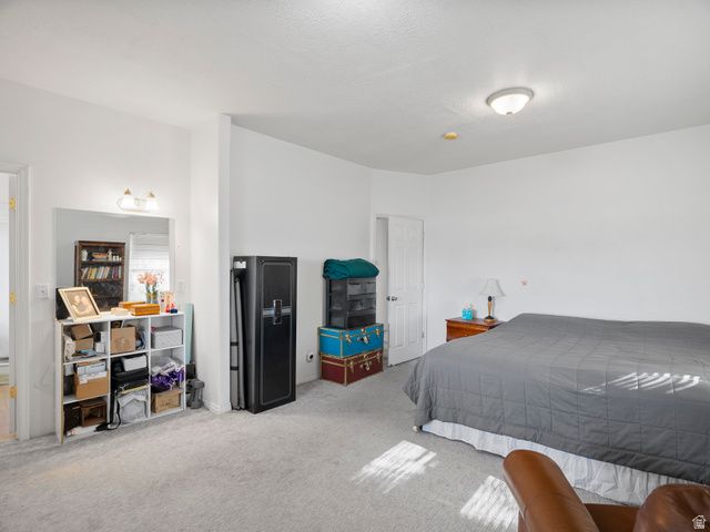 1010 S ANNA EKINS MEMORIAL LN, Genola, UT 84655