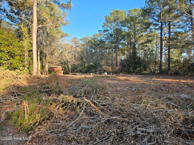 409 Pond View Circle, Hampstead, NC 28443