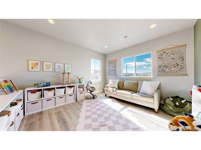 1107 Basalt Ridge Loop, Castle Rock, CO 80108