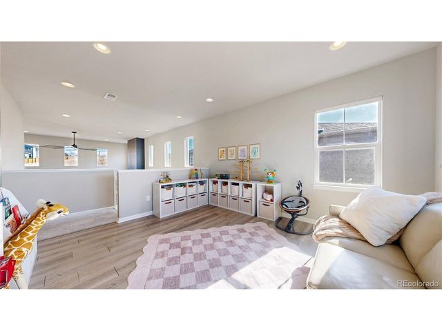 1107 Basalt Ridge Loop, Castle Rock, CO 80108