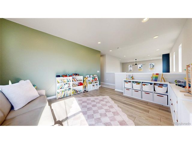 1107 Basalt Ridge Loop, Castle Rock, CO 80108