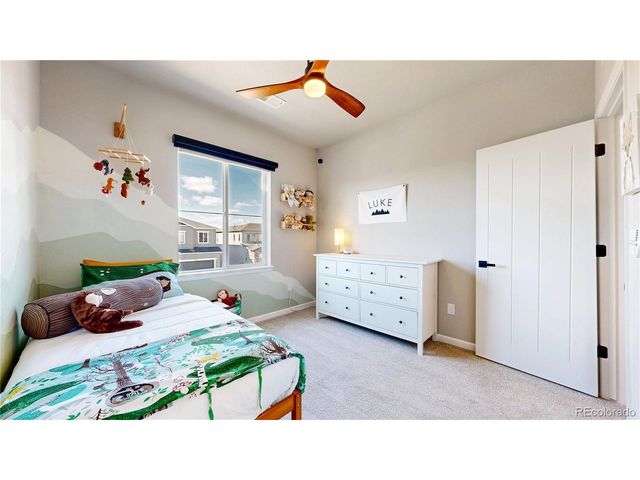 1107 Basalt Ridge Loop, Castle Rock, CO 80108