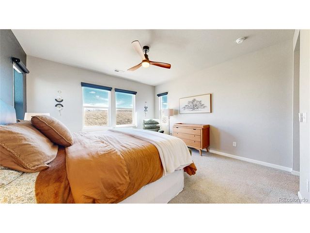 1107 Basalt Ridge Loop, Castle Rock, CO 80108