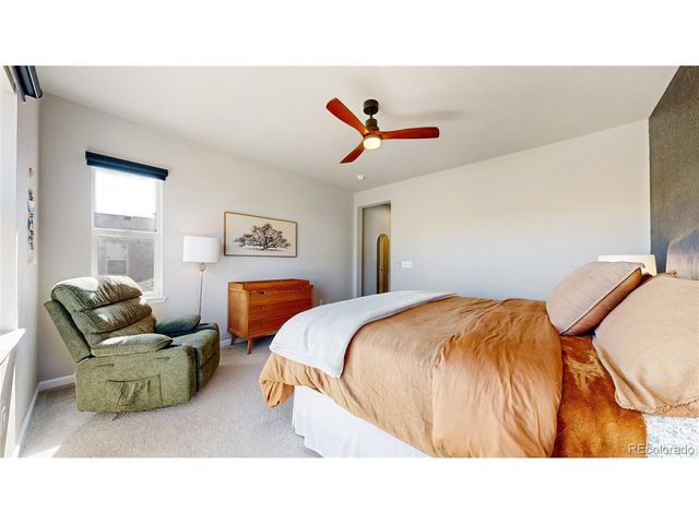 1107 Basalt Ridge Loop, Castle Rock, CO 80108