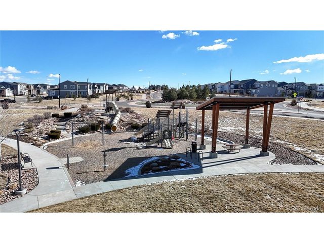1107 Basalt Ridge Loop, Castle Rock, CO 80108