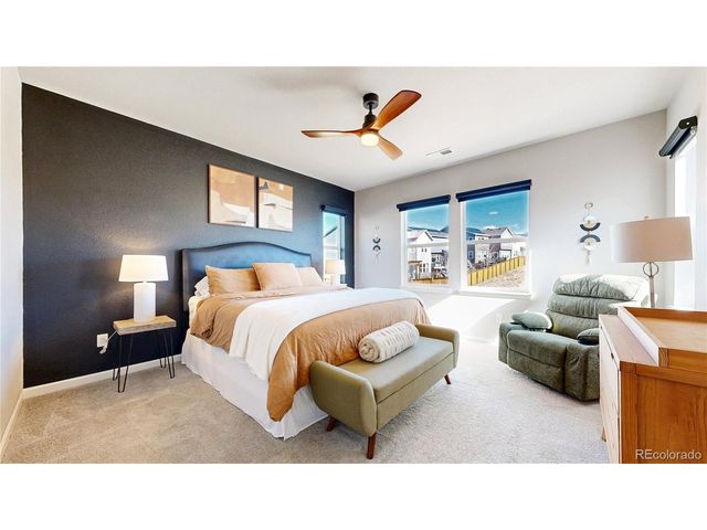 1107 Basalt Ridge Loop, Castle Rock, CO 80108