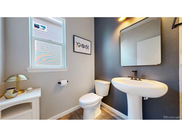 1107 Basalt Ridge Loop, Castle Rock, CO 80108