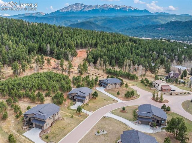 1120 Highlands Court, Woodland Park, CO 80863