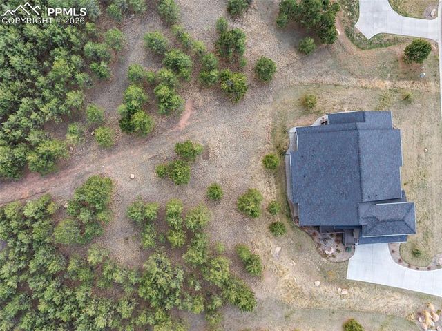 1120 Highlands Court, Woodland Park, CO 80863