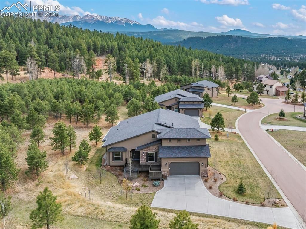 1120 Highlands Court, Woodland Park, CO 80863