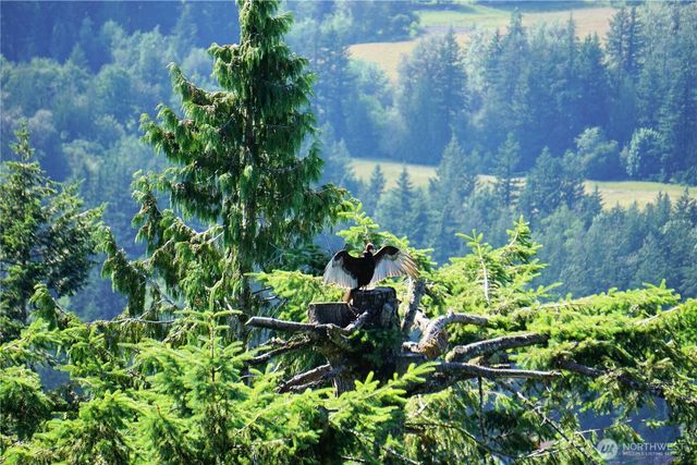 1749 Sapphire Trail, Bellingham, WA 98226