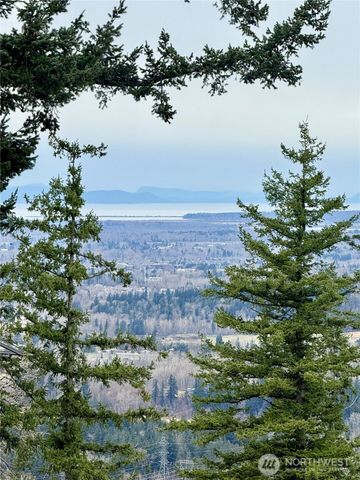 1749 Sapphire Trail, Bellingham, WA 98226