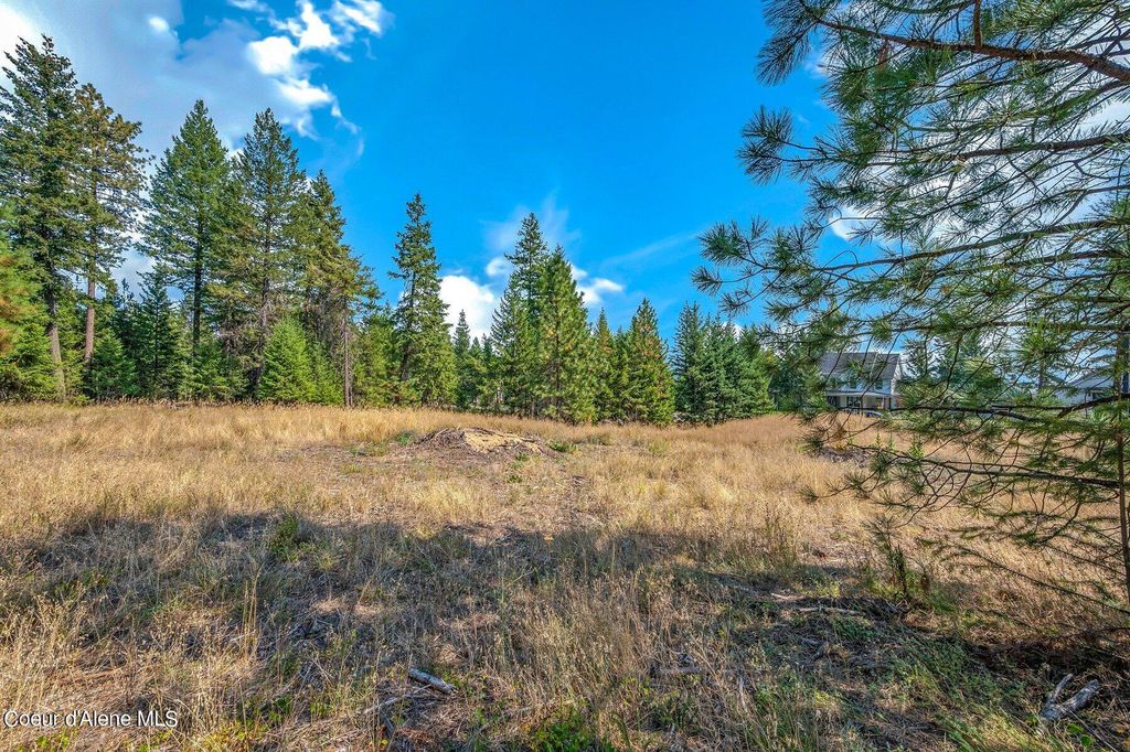 L6B10 N Walden Loop, Rathdrum, ID 83858 photo 20