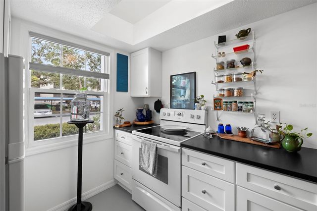 300 CLYDE LANE 106, Dunedin, FL 34698