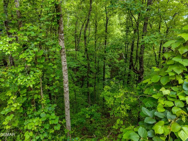 9 Red Bone Way, Sevierville, TN 37876