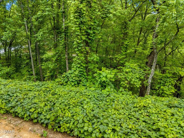 9 Red Bone Way, Sevierville, TN 37876