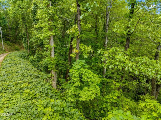 9 Red Bone Way, Sevierville, TN 37876