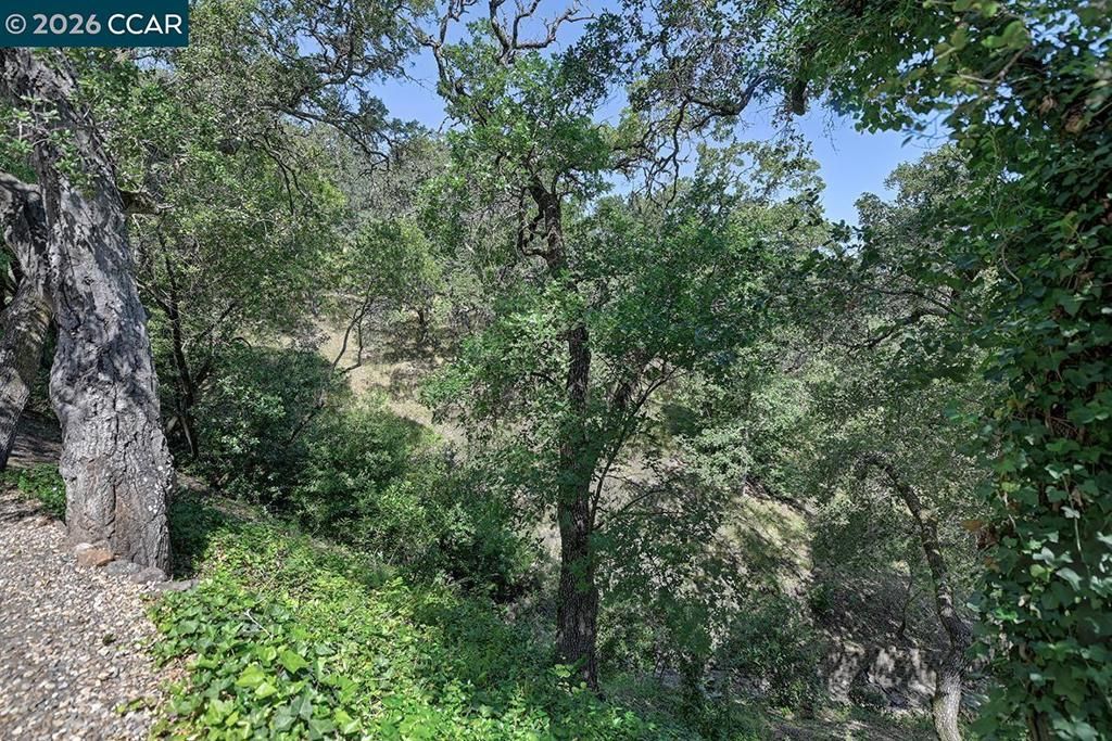 Image 19 of property listing at 1332 Running Springs Rd 2, Walnut Creek, CA 94595