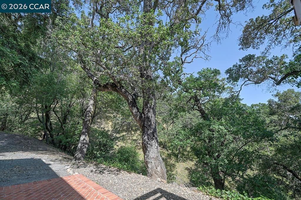 Image 20 of property listing at 1332 Running Springs Rd 2, Walnut Creek, CA 94595