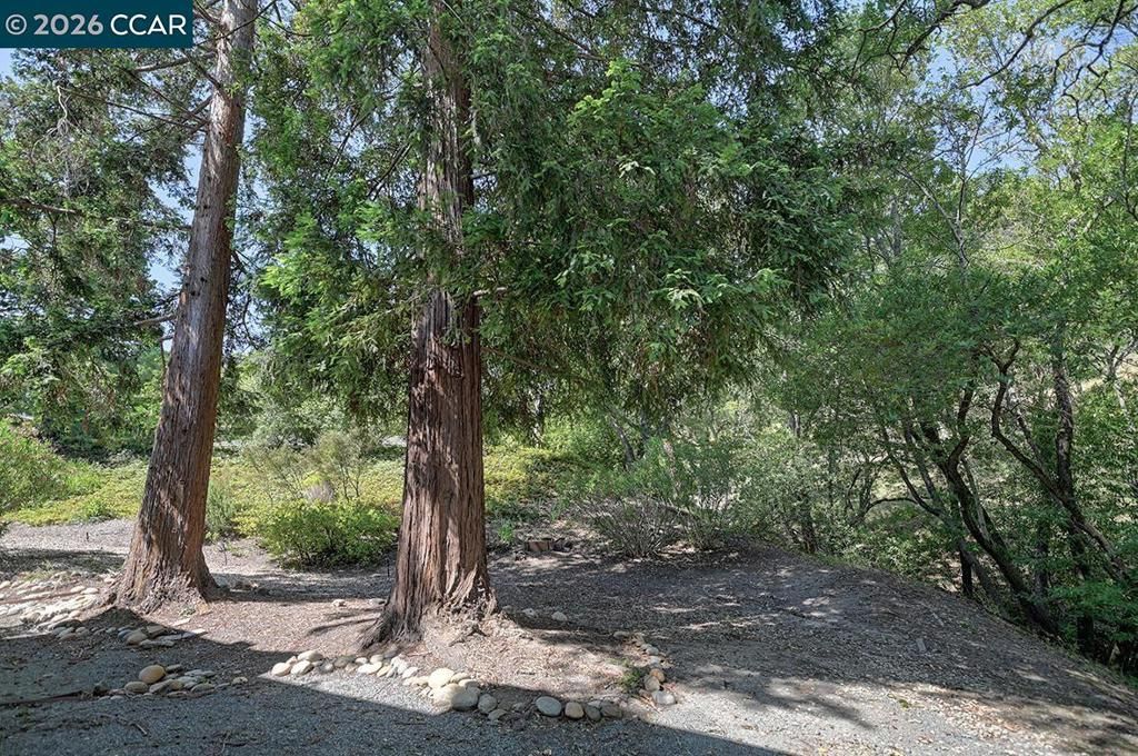 Image 21 of property listing at 1332 Running Springs Rd 2, Walnut Creek, CA 94595