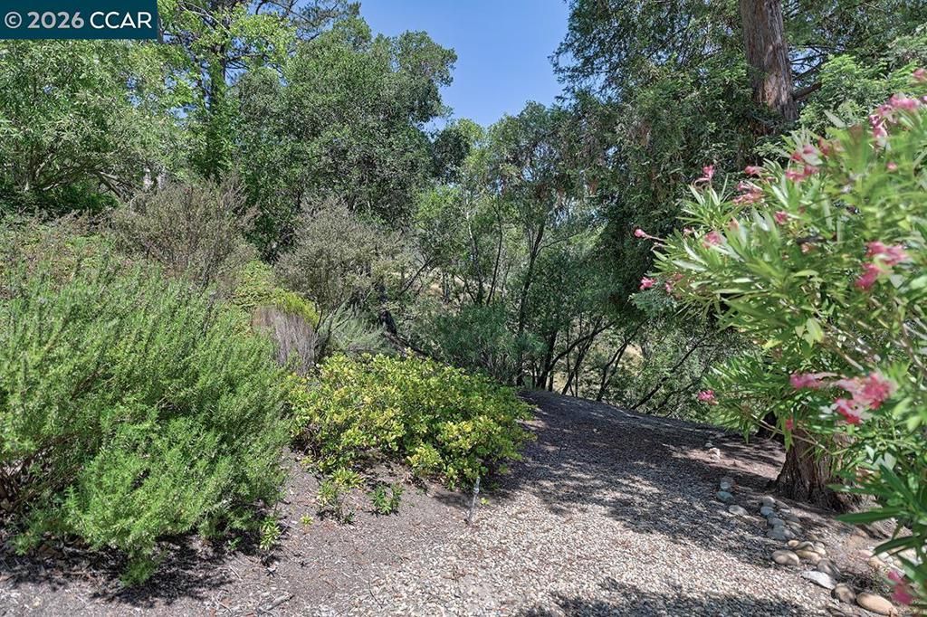 Image 4 of property listing at 1332 Running Springs Rd 2, Walnut Creek, CA 94595